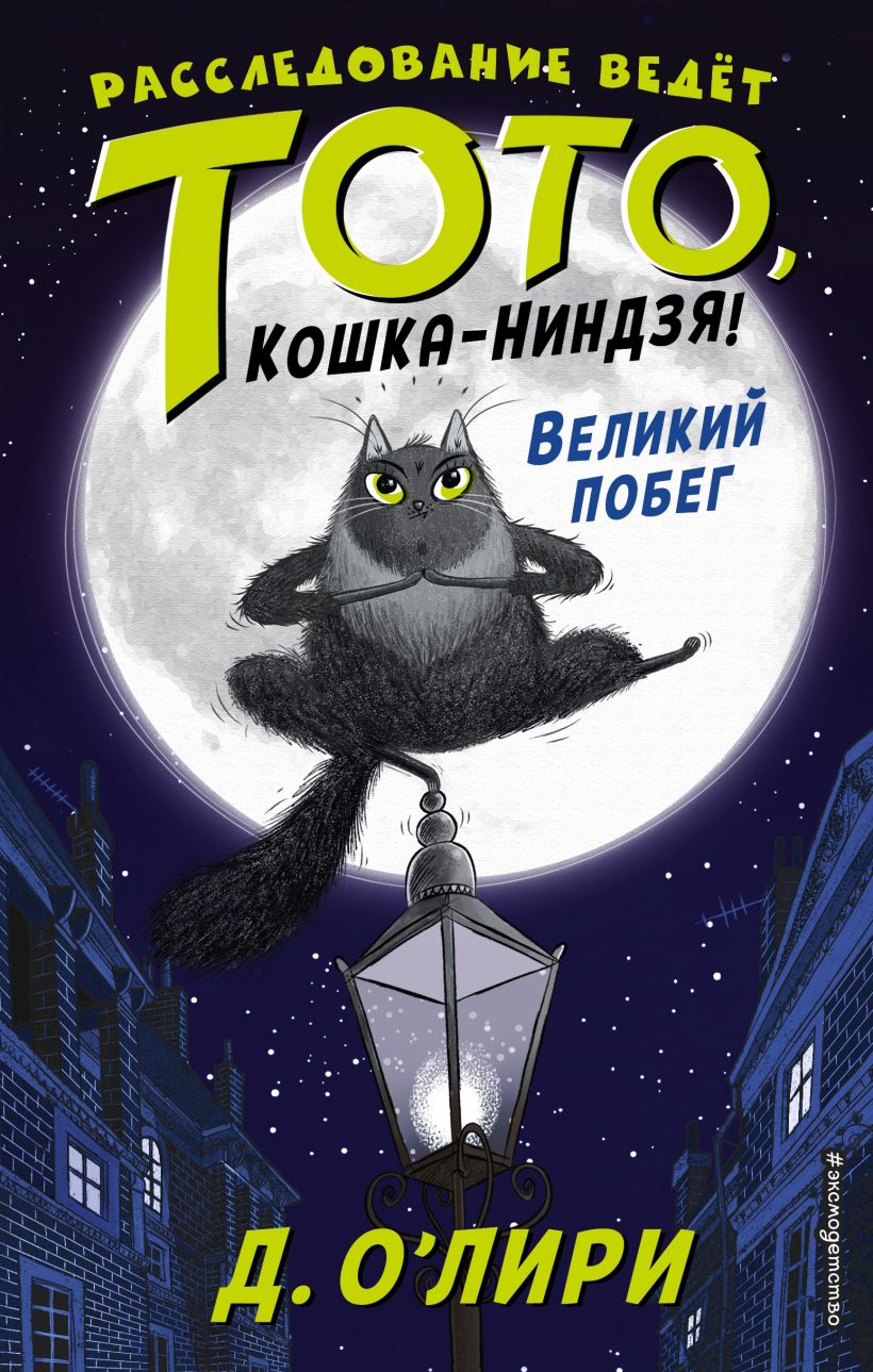 Книга Великий побег (выпуск 1) Дэрмот О`Лири - купить от 513 ₽, читать  онлайн отзывы и рецензии | ISBN 978-5-04-099132-7 | Эксмо