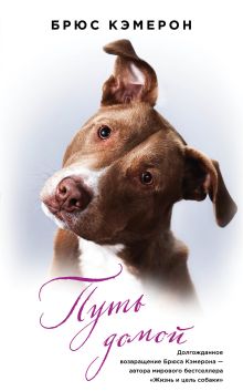 Путь домой (книга в полусупере)