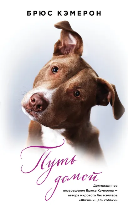 Обложка Путь домой (книга в полусупере) 