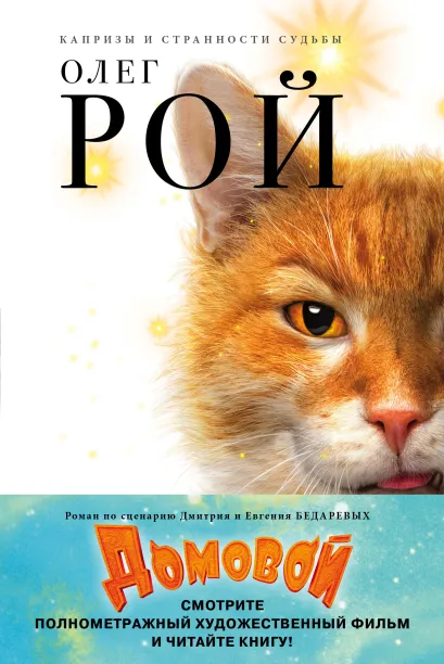 Обложка Домовой Олег Рой