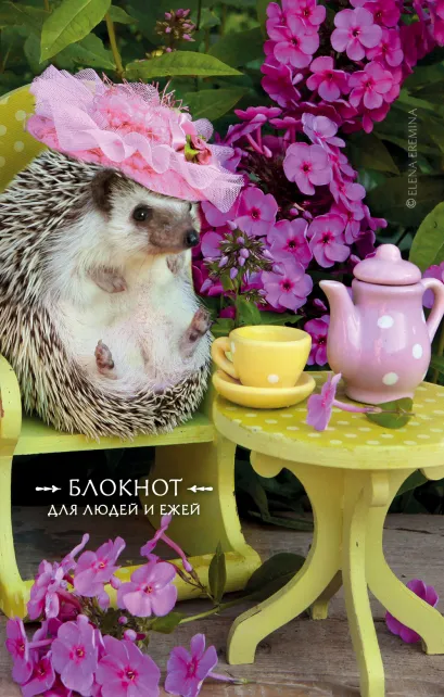 Обложка Блокнот для людей и ежей (чаепитие). 115х180мм, мягкая обложка, 64стр. Елена Еремина