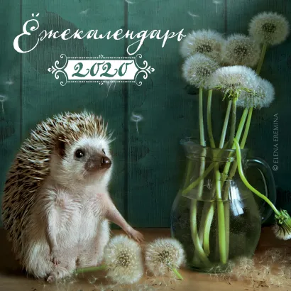Обложка Ёжекалендарь (одуванчик). Календарь настенный на 2020 год (170х170 мм) Елена Еремина