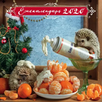 Обложка Ёжекалендарь (мандаринки). Календарь настенный на 2020 год (300х300 мм) Елена Еремина