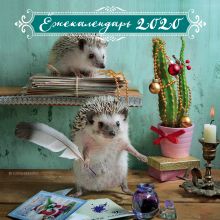 Ёжекалендарь (письмо Санте). Календарь настенный на 2020 год (300х300 мм)