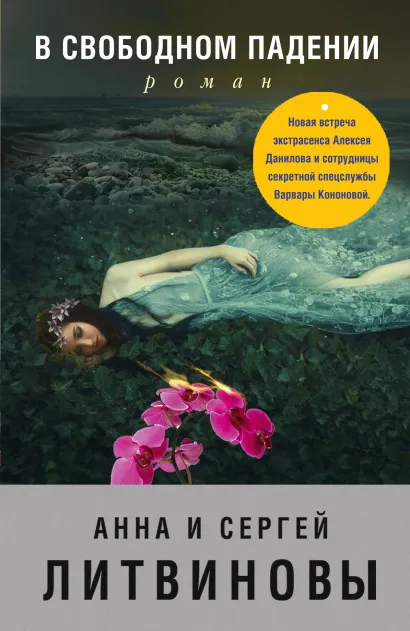 Обложка В свободном падении Анна и Сергей Литвиновы