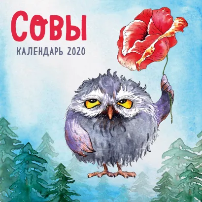 Обложка Совы. Календарь настенный на 2020 год (300х300 мм) 