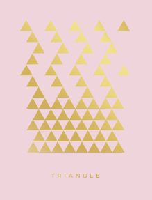 Обложка Triangle (розовый). Тетрадь общая (А5, 48 л., зол. фольга, накидка 4 п. полноцвет) 