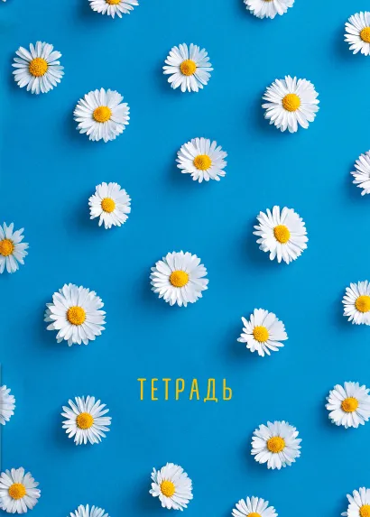 Обложка Ромашки. Тетрадь общая, А5, 48л., накидка, 4 п. полноцвет., глянц.пленка 