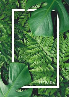 Папоротник. Тетрадь студенческая, В5, 40л., выб. лакирование