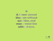 Скетчбук зеленый (230х180 мм, офсет 160 гр., 40 страниц, евроспираль)