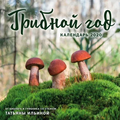 Обложка Грибной год. Календарь настенный на 2020 год (300х300 мм) 