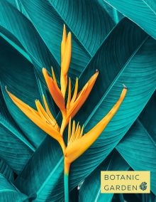 Обложка Тропический цветок. Тетрадь на кольцах, А5, 100 л., с цветными разделителями, зол. фольга 