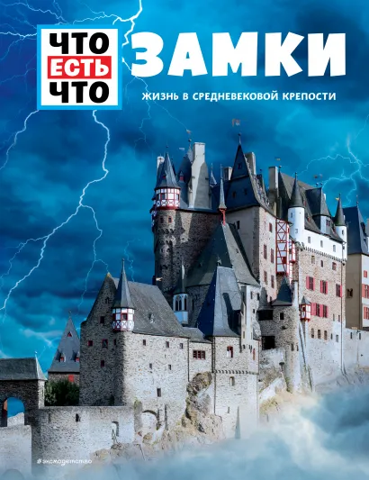 Обложка ЗАМКИ. Жизнь в средневековой крепости Андреа Шаллер