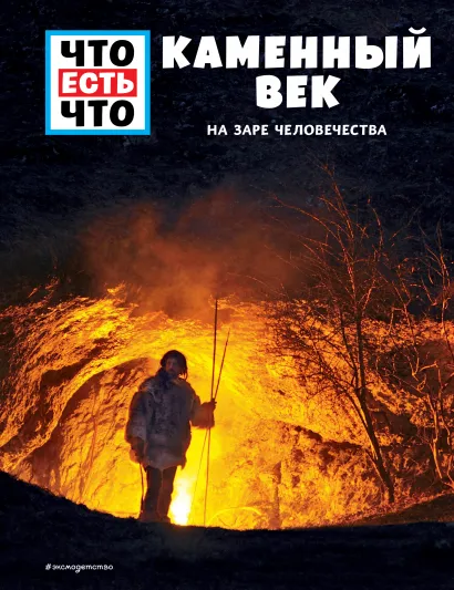 Обложка КАМЕННЫЙ ВЕК. На заре человечества Андреа Шаллер