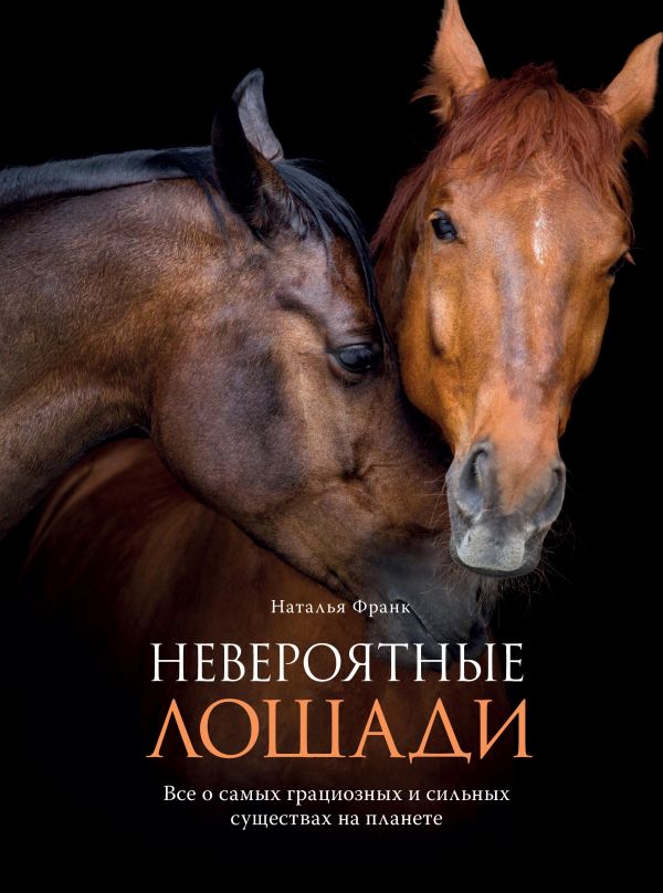 Породы лошадей — список названий по алфавиту, подбор по характеристикам