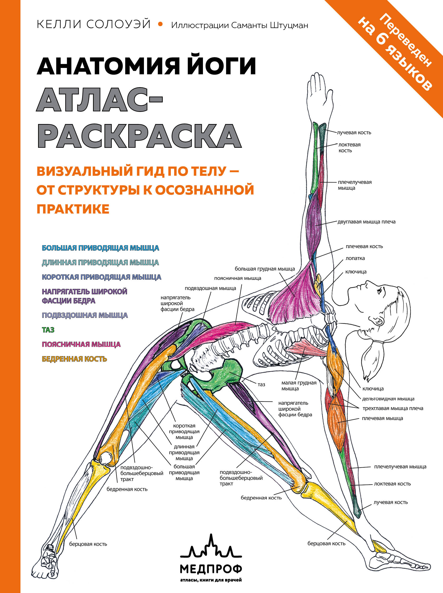 Анатомия йоги: атлас-раскраска. Визуальный гид по телу — от структуры к осознанной практике