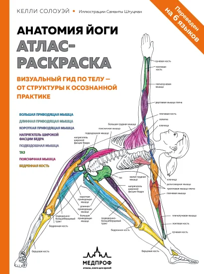 Обложка Анатомия йоги: атлас-раскраска. Визуальный гид по телу — от структуры к осознанной практике Келли Солоуэй