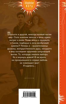 Обложка сзади Хранительница дракона Екатерина Елизарова
