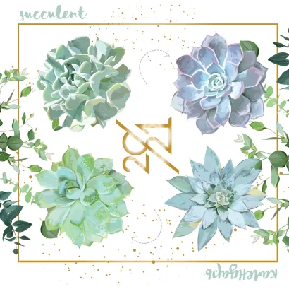 Обложка Суккуленты (иллюстрации). Календарь настенный на 2021 год (300х300 мм) 