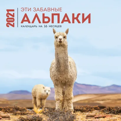 Обложка Эти забавные альпаки. Календарь настенный на 16 месяцев на 2021 год (300х300 мм) 