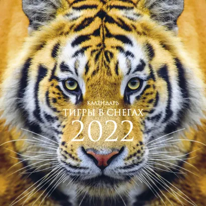 Обложка Тигры в снегах. Календарь настенный на 2022 год (300х300 мм) 