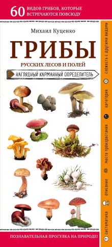 Обложка Грибы русских лесов и полей Михаил Куценко