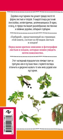 Обложка сзади Листья деревьев. Как узнать растение Михаил Куценко