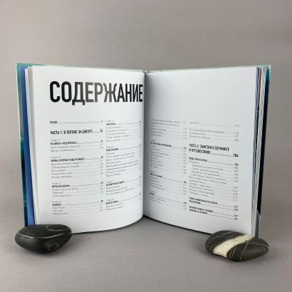 Найти свою волну. Жизнь, люди, путешествия, серфинг