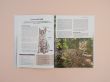 Все породы кошек. Большая иллюстрированная энциклопедия