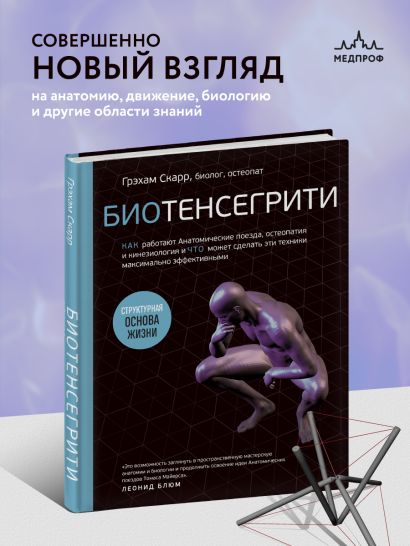Биотенсегрити. Как работают Анатомические поезда, остеопатия и кинезиология и что может сделать эти техники максимально эффективными