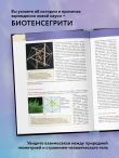 Биотенсегрити. Как работают Анатомические поезда, остеопатия и кинезиология и что может сделать эти техники максимально эффективными