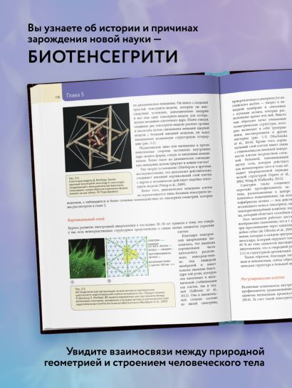 Биотенсегрити. Как работают Анатомические поезда, остеопатия и кинезиология и что может сделать эти техники максимально эффективными