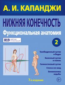 Обложка Нижняя конечность: Функциональная анатомия (обновленное издание) А. И. Капанджи