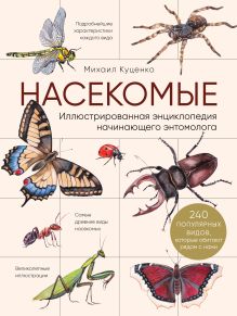 Обложка Насекомые. Иллюстрированная энциклопедия начинающего энтомолога. 240 популярных видов, которые обитают рядом с нами Михаил Куценко