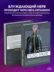 Настройка системы тело—мозг. Простые упражнения для активации блуждающего нерва против депрессии, стресса, боли в теле и проблем с пищеварением