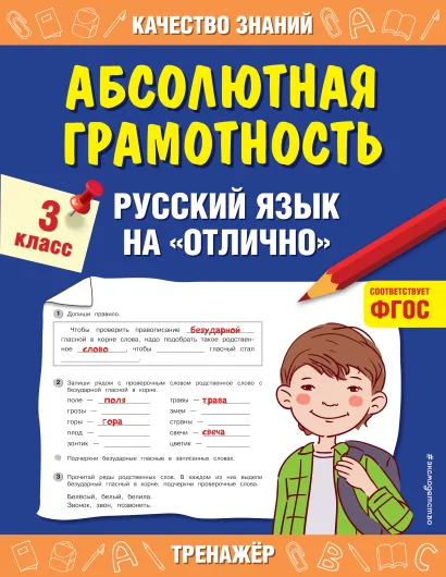Обложка Абсолютная грамотность. Русский язык на «отлично». 3 класс Г. В. Дорофеева