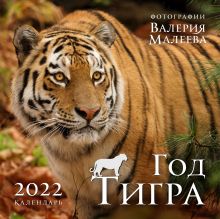 Обложка Год тигра. Фотографии Валерия Малеева. Календарь настенный на 2022 год (300х300 мм) 