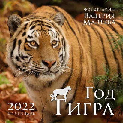 Обложка Год тигра. Фотографии Валерия Малеева. Календарь настенный на 2022 год (300х300 мм) 