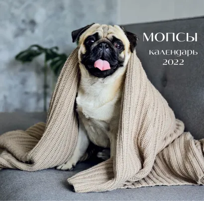 Обложка Мопсы (фото). Календарь настенный на 2022 год (300х300 мм) 