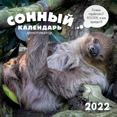 Обложка Сонный календарь демотиватор. Календарь настенный на 2022 год (300х300 мм) 