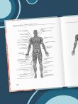 Триггерные точки под контролем. Программы для самостоятельного лечения мышечных зажимов и восстановления подвижности суставов