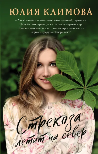 Обложка Стрекоза летит на север Юлия Климова