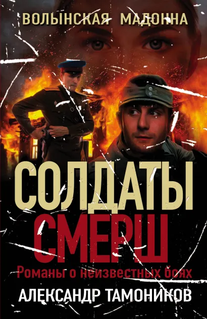 Обложка Волынская мадонна Александр Тамоников