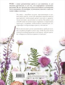 Обложка сзади Розы. Восхитительные цветы для дома и сада Джейн Исто, Джорджианна Лэйн