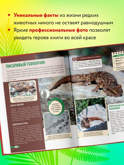 Красная книга России. Млекопитающие, птицы, рептилии, амфибии, рыбы, насекомые