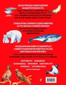 Обложка сзади Красная книга России: все о жизни дикой природы Дмитрий Лукашанец, Екатерина Лукашанец
