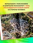 Красная книга России. Млекопитающие, птицы, рептилии, амфибии, рыбы, насекомые