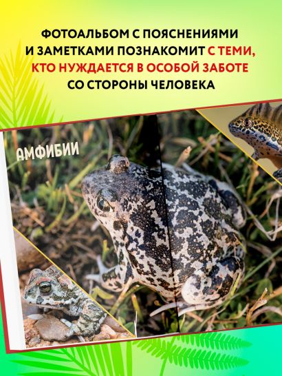Красная книга России. Млекопитающие, птицы, рептилии, амфибии, рыбы, насекомые