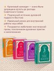 Две жизни. Конкордия Антарова. Мистический роман с комментариями в четырех частях. Коллекционное оформление