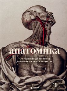 Обложка Анатомика. От ужасного до великого: человеческое тело в искусстве Джоанна Эбенштейн